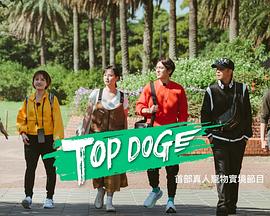 麻豆AV《TOP DOG》免费在线观看
