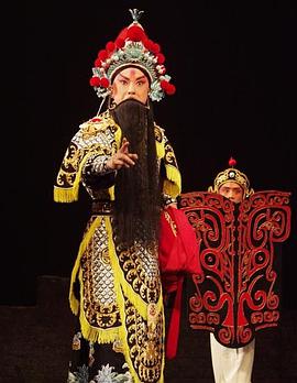 麻豆Porn《袁崇焕2009》免费在线观看