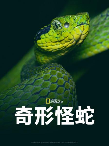 麻豆Porn《奇形怪蛇》免费在线观看